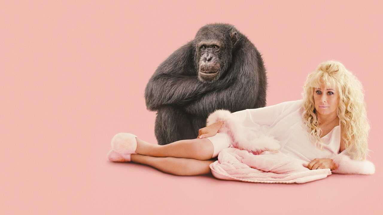 EN - Chimp Crazy (2024) 2